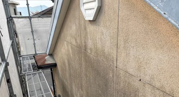 コケやカビが発生している写真
