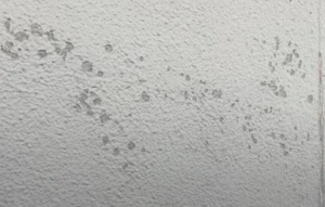 塗膜の剥がれ・膨れが起きる原因