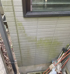 なぜ発生？外壁にカビ・コケ・藻が発生する理由と対策